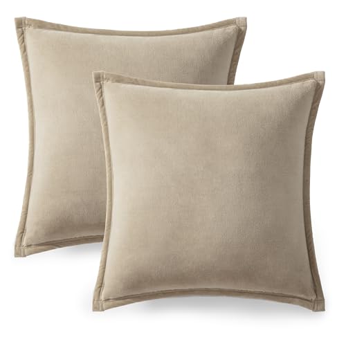 Soft Plush Decorative Accent Pillows Set of 2