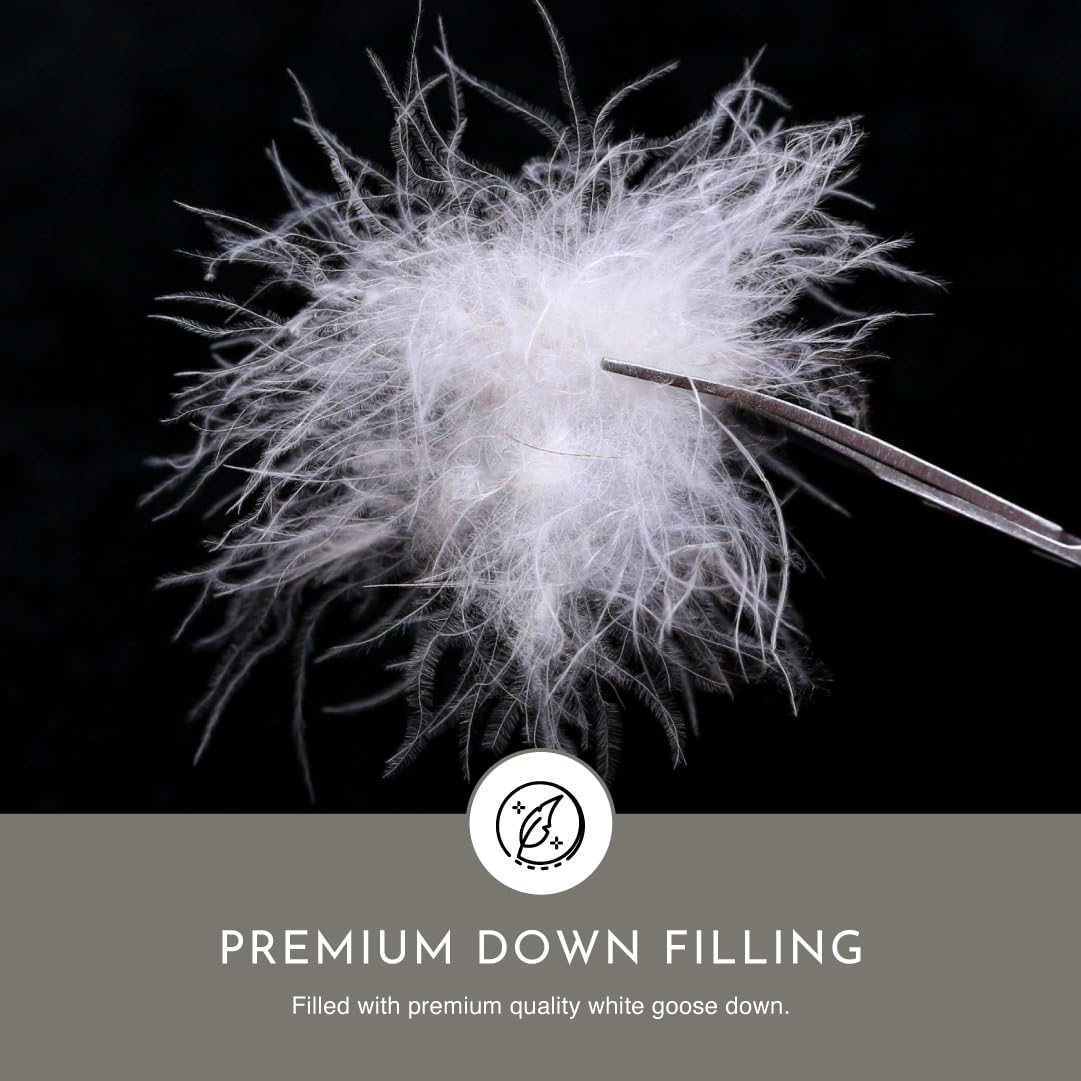 Goose Down Duvet Insert with Organic Cotton Shell