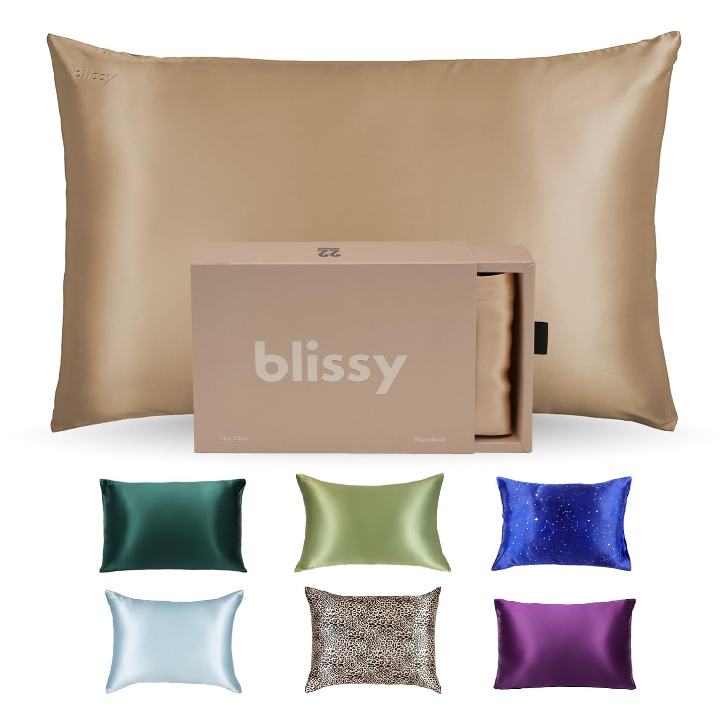 Pure Mulberry Silk Pillowcase 22 Momme Luxury Cover