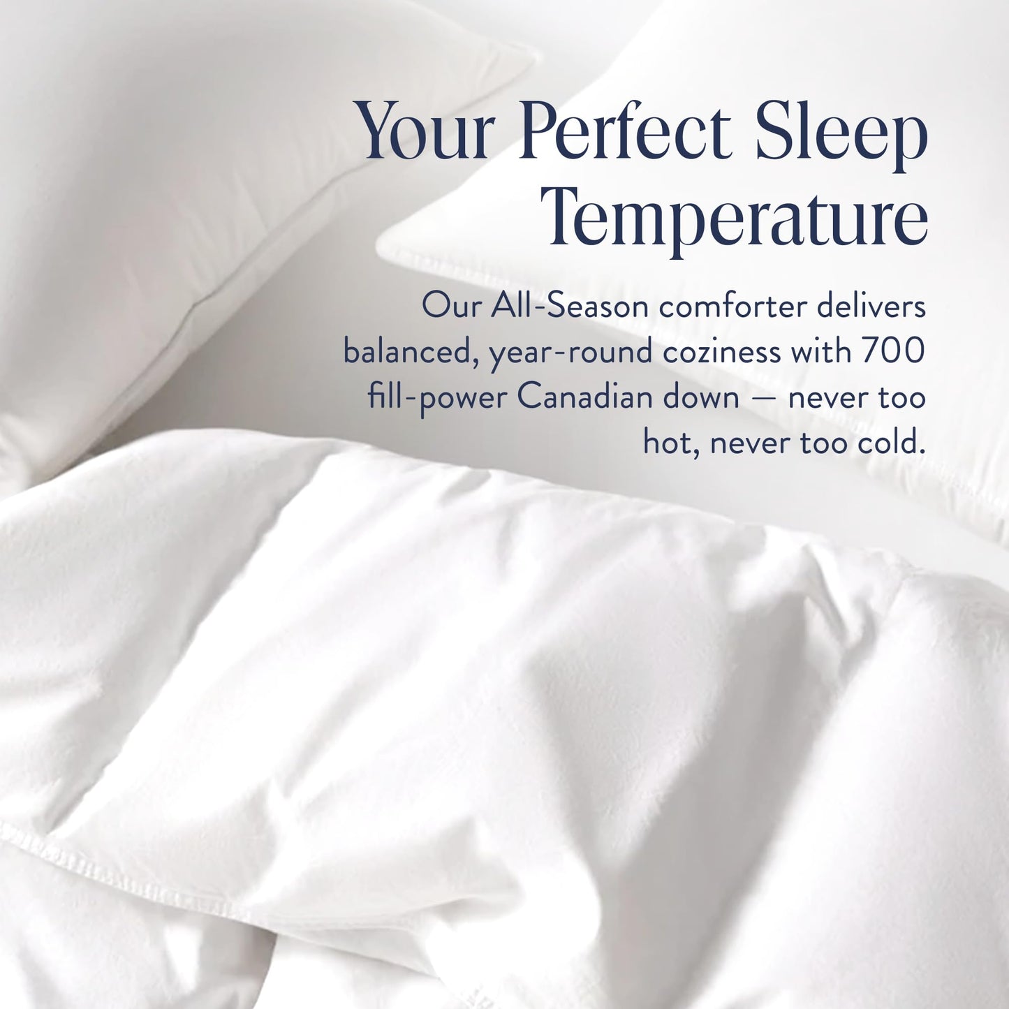 Hungarian Goose Down Duvet Insert 750 Fill Power