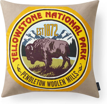 Plush Cotton Hypoallergenic Decorative Pillow