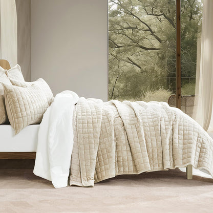 Luxury Velvet Quilt Set with Matching Pillow Shams
