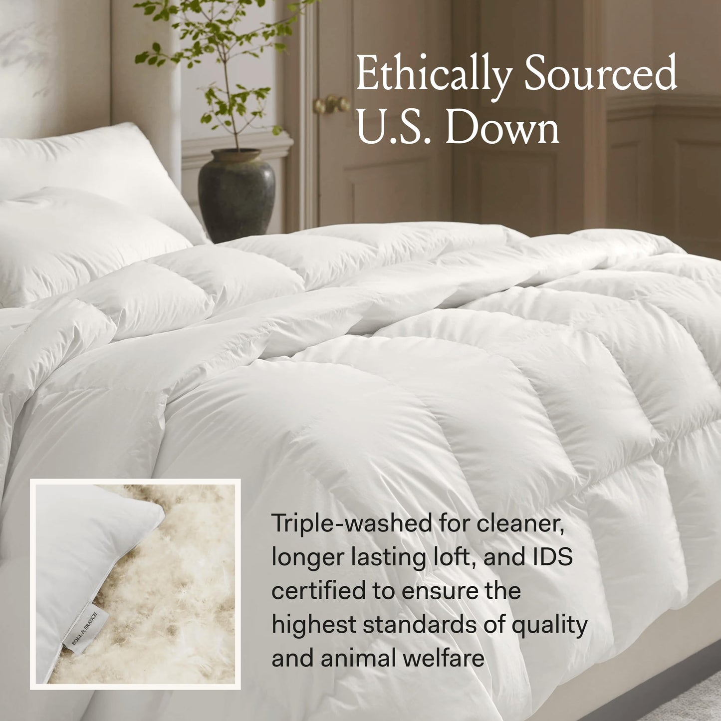 Organic Cotton Down Duvet Insert Luxury Comfort