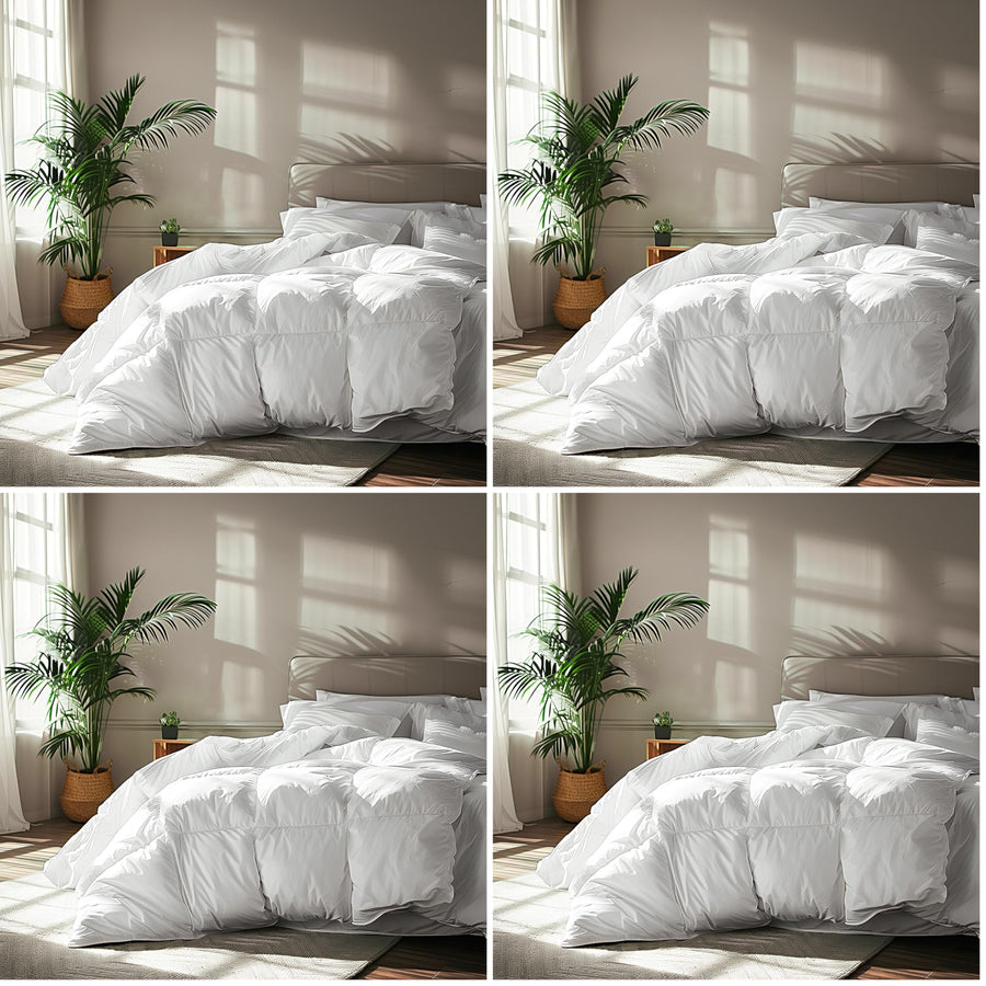 Serta Goose Feather Down Fiber Cotton Comforter