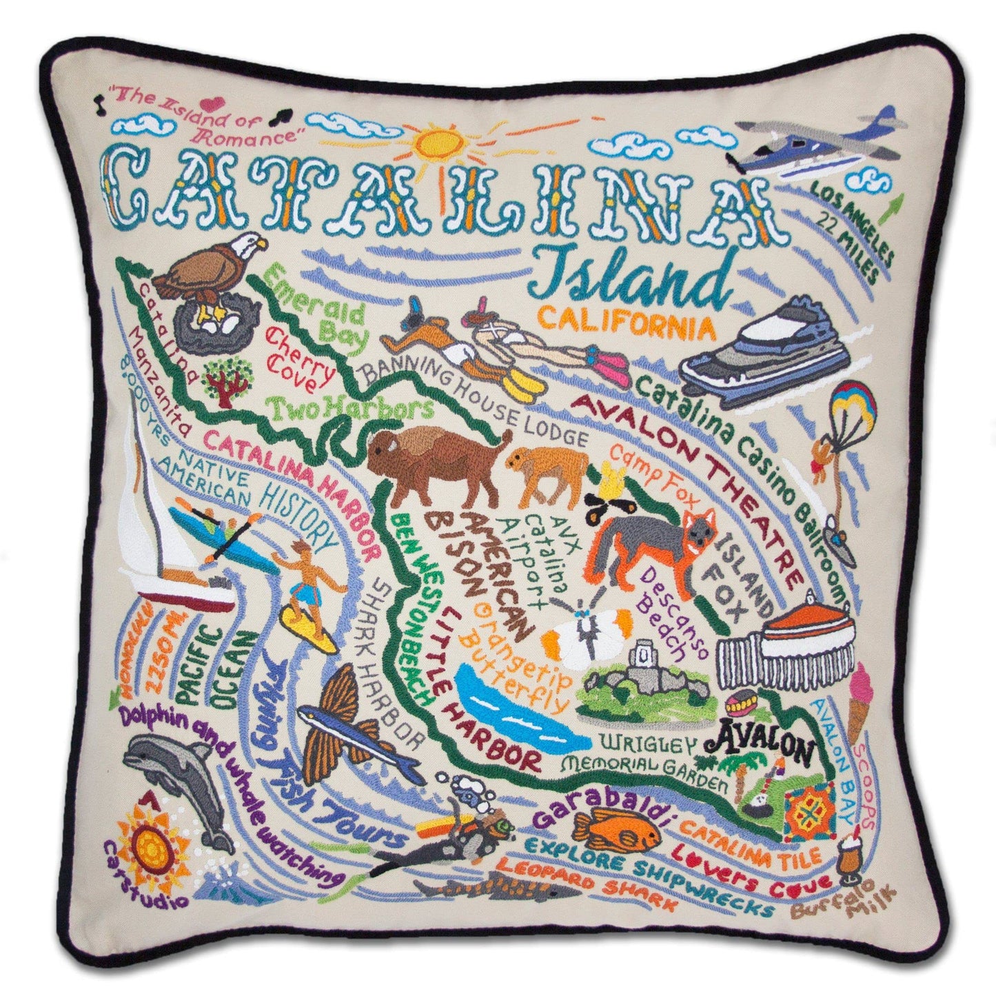 Midwest City Embroidered Decorative Throw Pillow