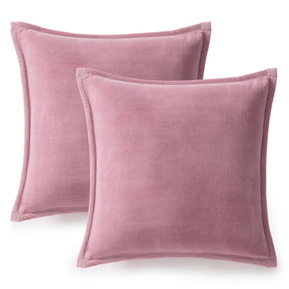 Soft Plush Decorative Accent Pillows Set of 2
